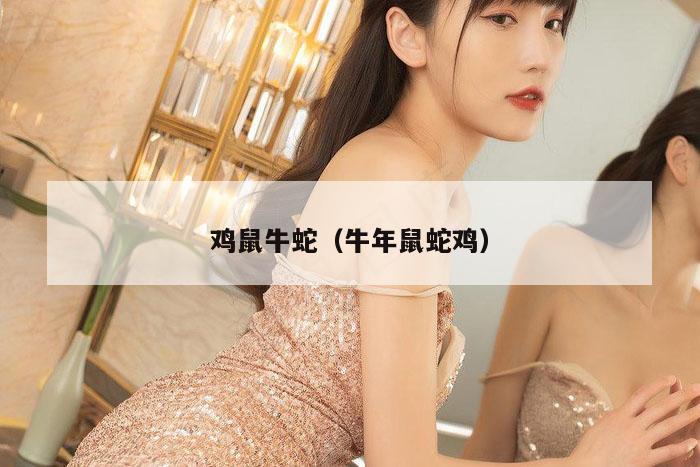鸡鼠牛蛇（牛年鼠蛇鸡）